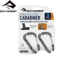 Набір карабінів SeaToSummit Accessory Carabiner Large Titanium 2 Pack