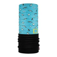 Buff National Geographic Polar colding blue