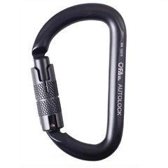Карабін First Ascent Autolock grey