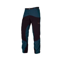 Чоловічі штани Direct Alpine Mountainer 4.0