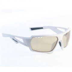 Очки Lynx Huston PH W