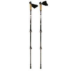 Палиці для скандинавської ходьби Tribe Nordic Pole Carbon T-ME-0023-white