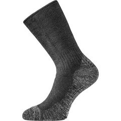 Шкарпетки Lasting WSM